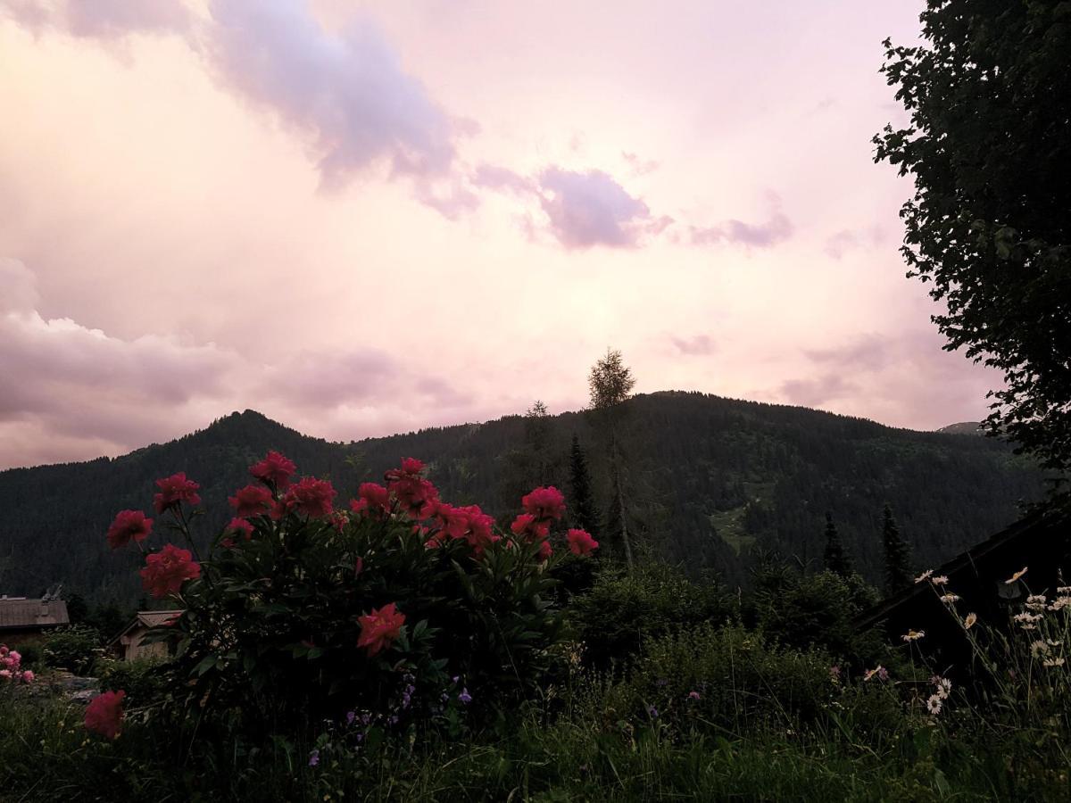 Le Castor Bed & Breakfast Morgins Exterior photo