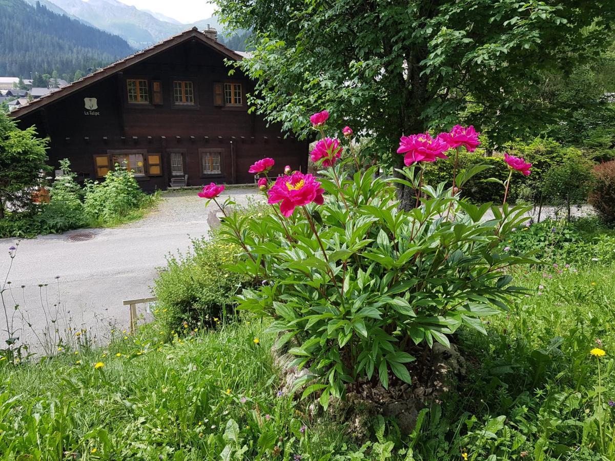 Le Castor Bed & Breakfast Morgins Exterior photo